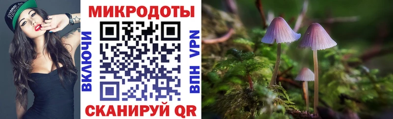 Псилоцибиновые грибы Psilocybe  Купить где  Междуреченск 